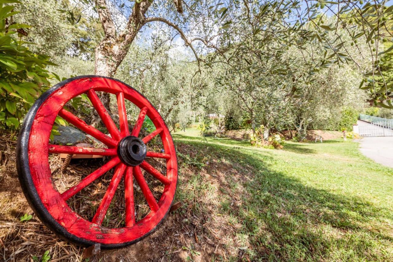 Al Giardino Degli Ulivi Pension Santa Maria Albiano Buitenkant foto