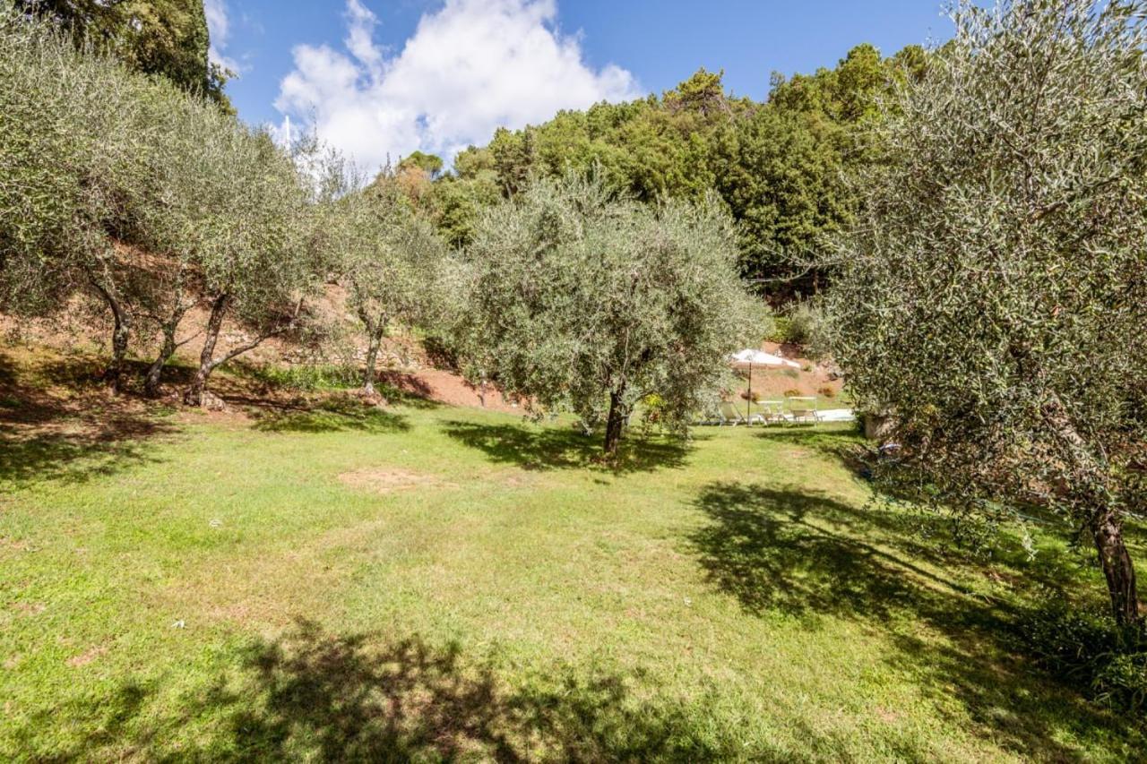 Al Giardino Degli Ulivi Pension Santa Maria Albiano Buitenkant foto
