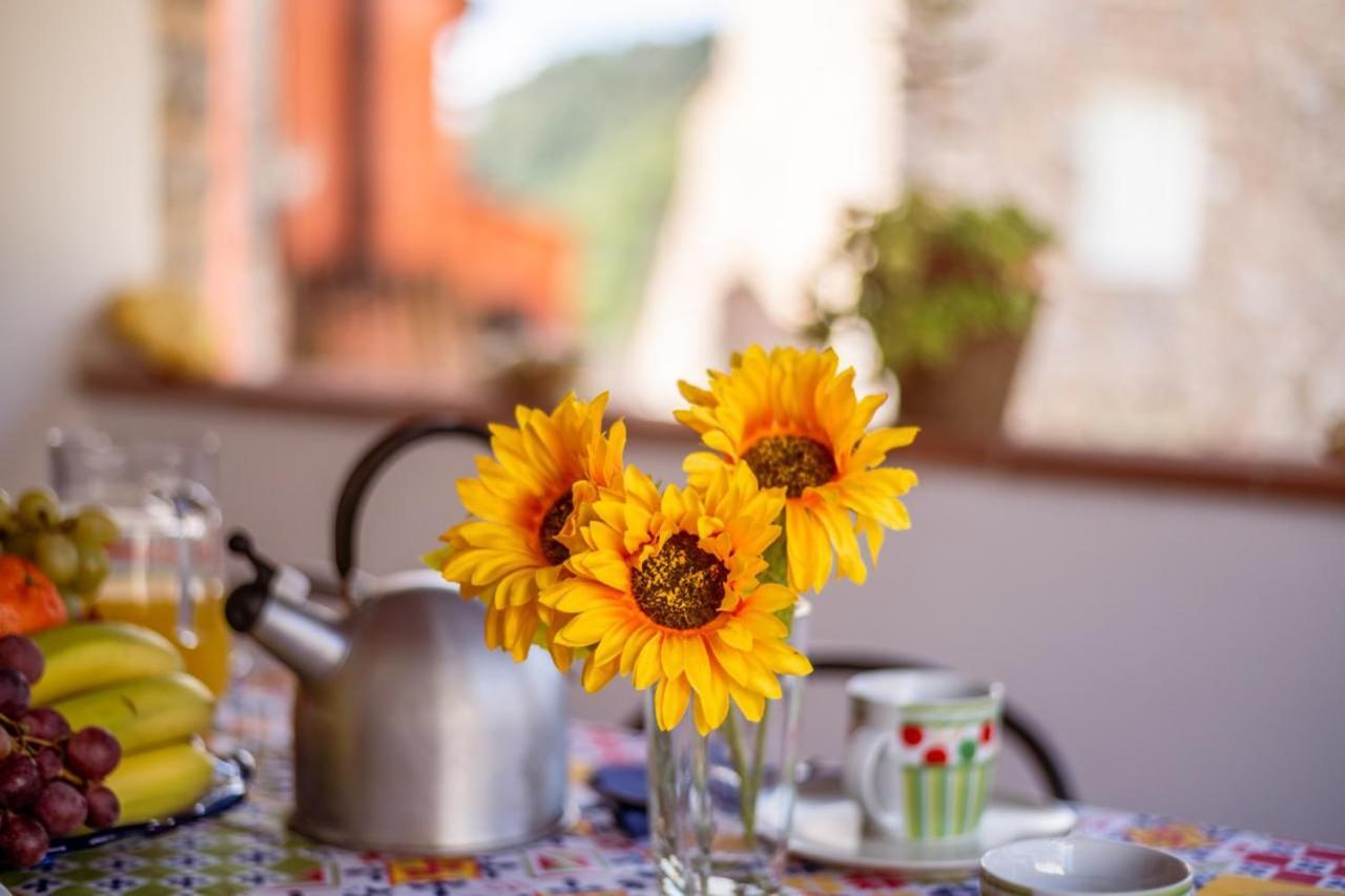 Al Giardino Degli Ulivi Pension Santa Maria Albiano Buitenkant foto