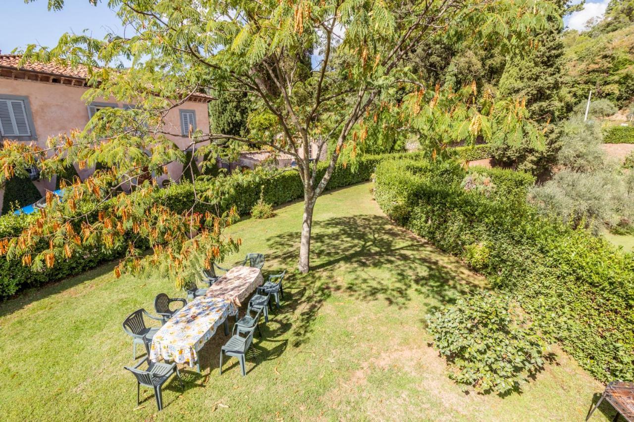 Al Giardino Degli Ulivi Pension Santa Maria Albiano Buitenkant foto